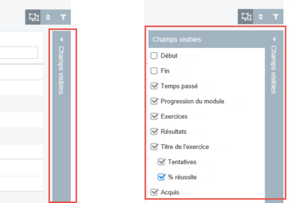 Sélection des champs visibles