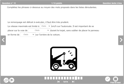 Fill-in-the-gap question