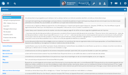 Choice of a dictionary