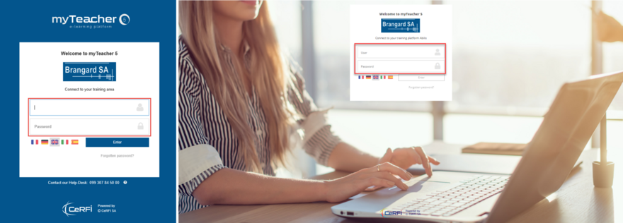 Standard and custom login windows